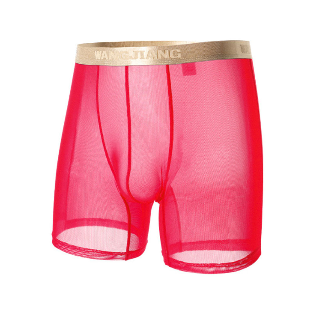 Celana Boxer Tipis Transparan  - Boxer Shorts Modal ulasan dan harga